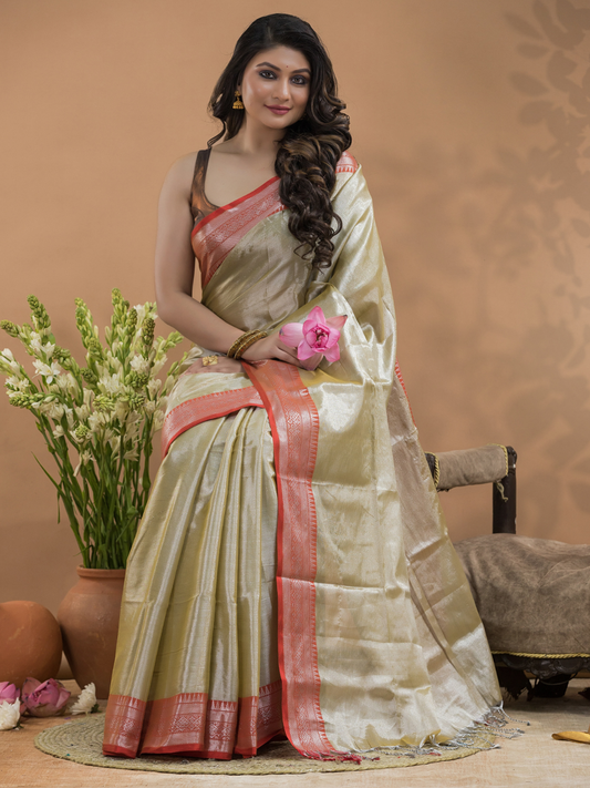 Tissue Silk Saree In Bone White -023