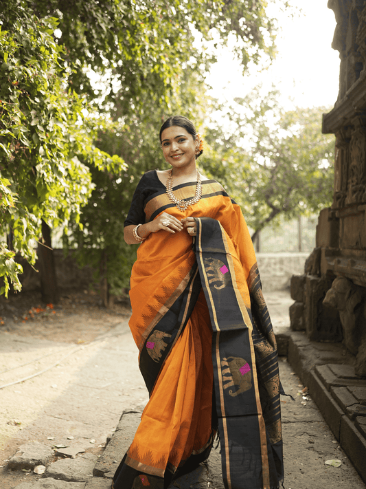 Pure handloom Korvai Silk Cotton Saree in Honey Yellow and Coal Black border - 076