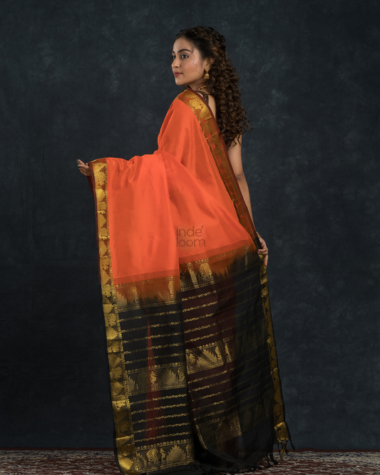 Pure handloom Korvai Saree classic Fire Orange and Black Border - 127