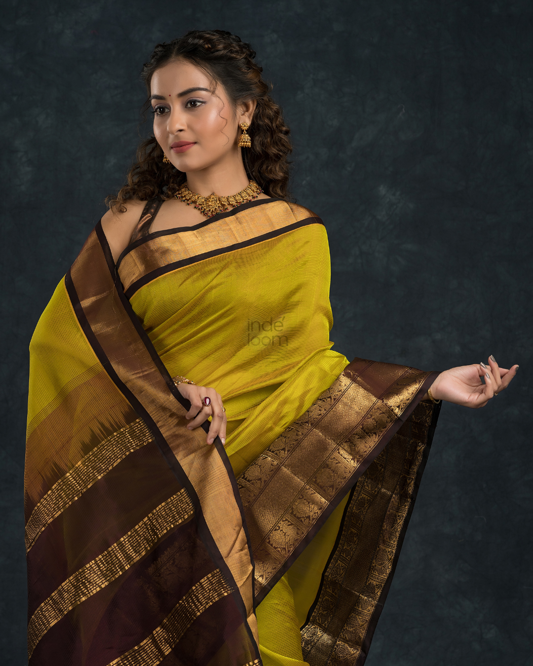 Pure handloom Korvai Silk Cotton Saree in Golden Ochre and Deep Brown Border - 109