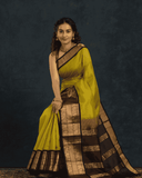 Pure handloom Korvai Silk Cotton Saree in Golden Ochre and Deep Brown Border - 109