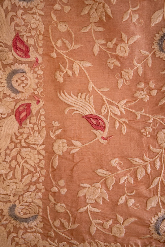 Pale Amber Orange Embriodery Saree2-017