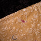 Golden Orange Embroidery Saree-004