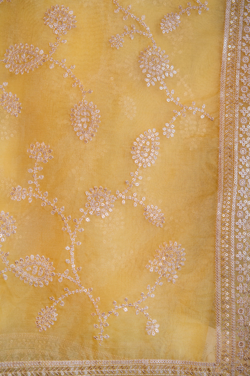 Golden Yellow Embriodery Saree2-018