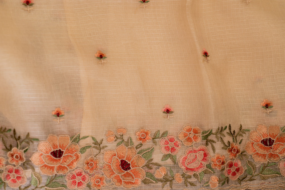 Pale Brown Embriodery Saree-022