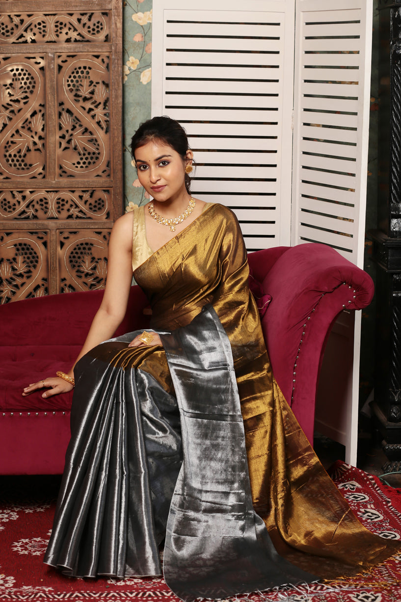 Golden Wheet Brown Tissue Silk Saree-008