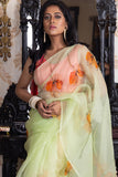 Poppy Floral Vectors On Lime Green-Organza Hand-painted Saree-025