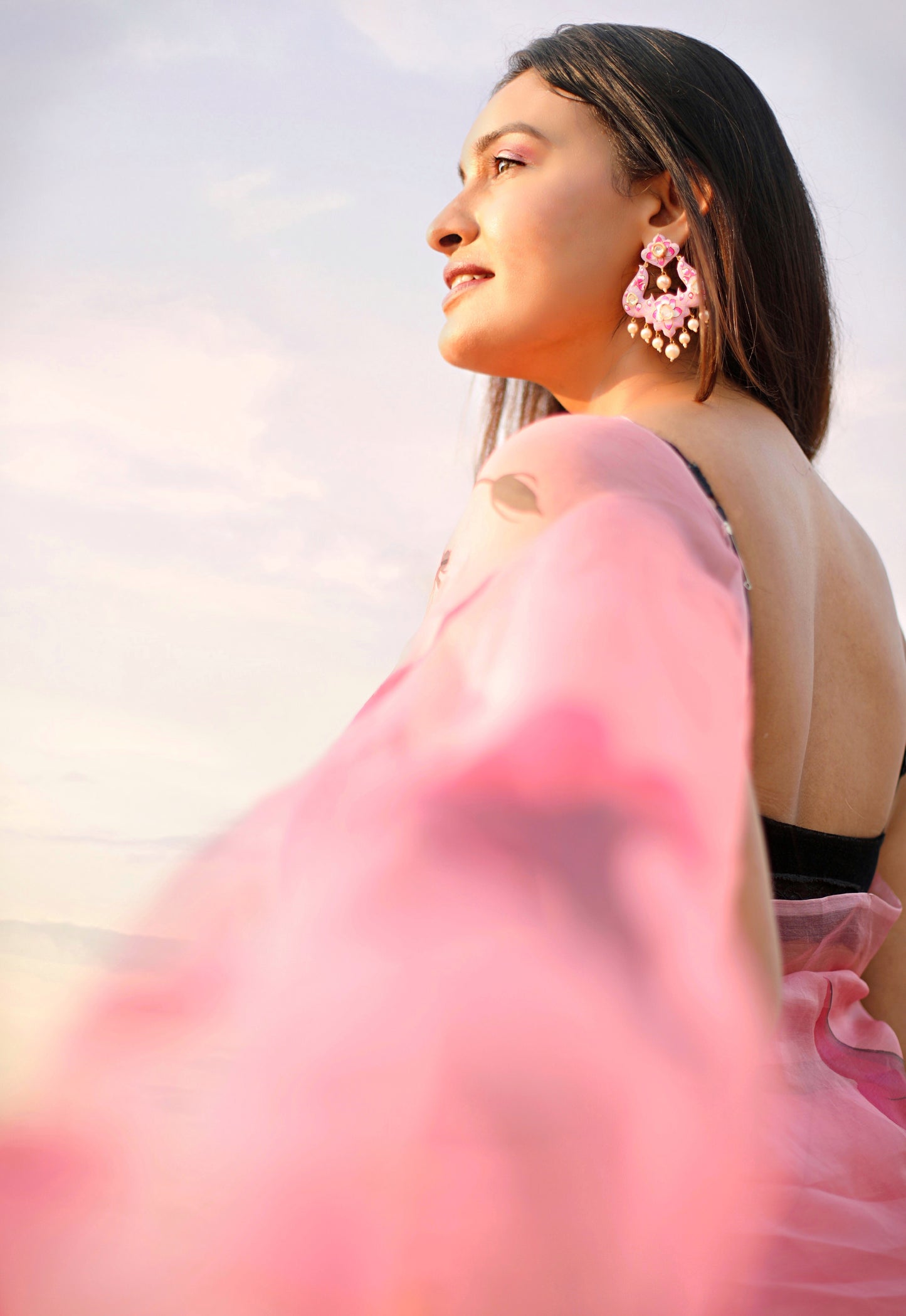 Dark Pink Florals on Organza Hand-painted Saree-009